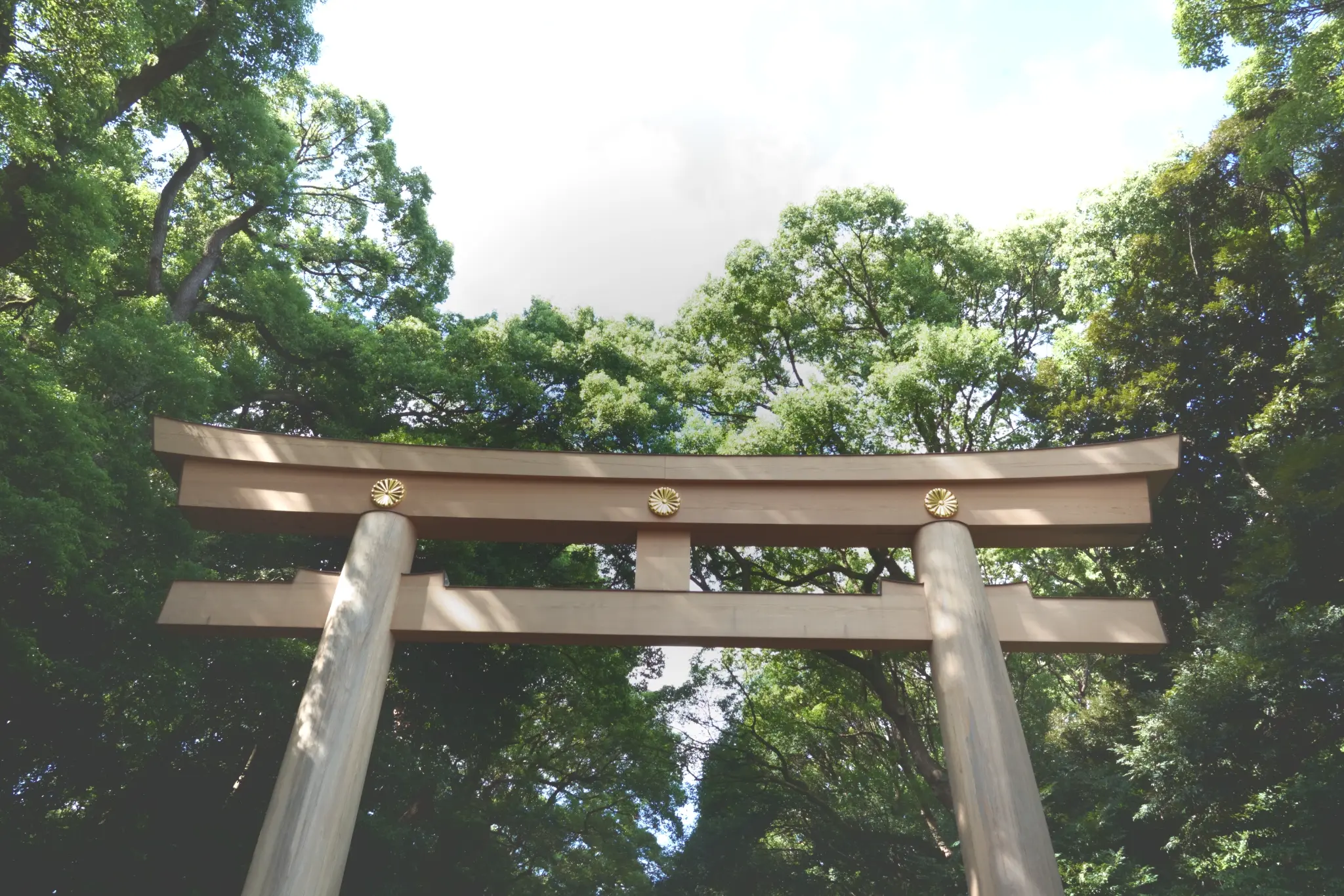 イベントの様子