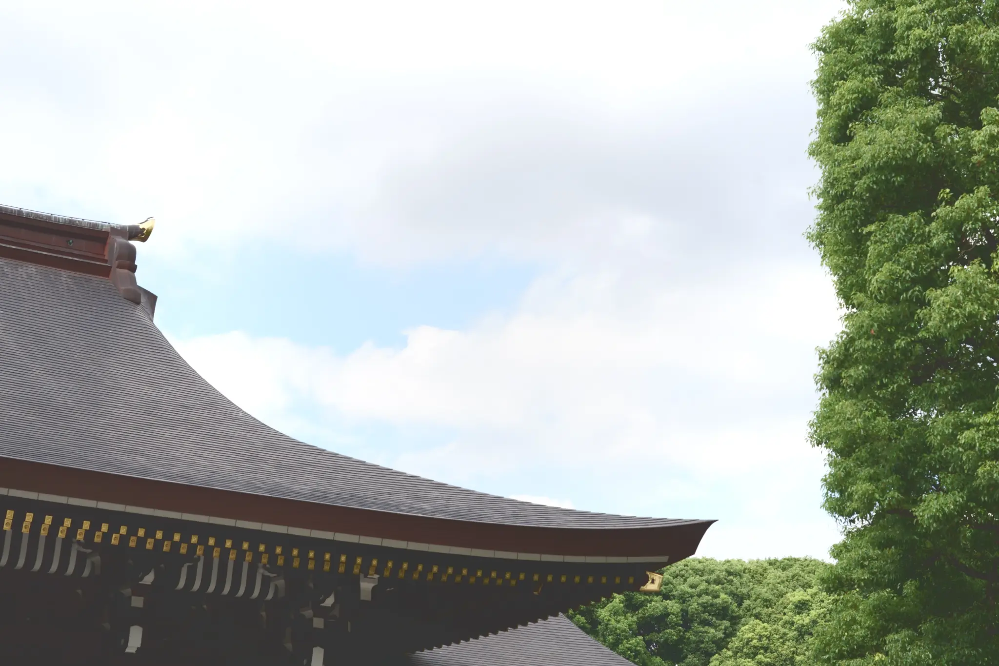 イベントの様子